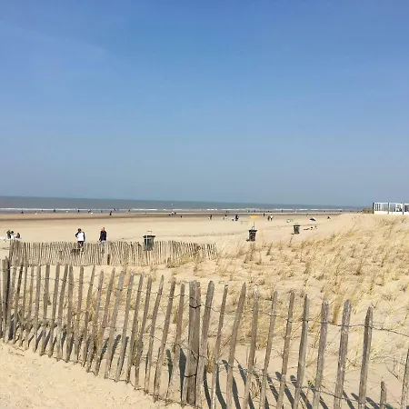 Amsterdam 4 아파트 잔드보르트