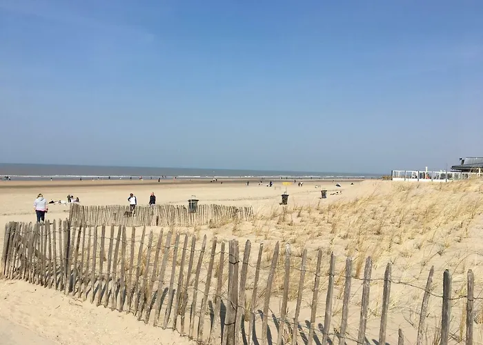 Amsterdam 4 アパート ザントフォールト