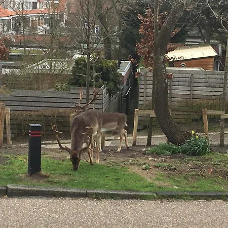 Amsterdam 4 Zandvoort